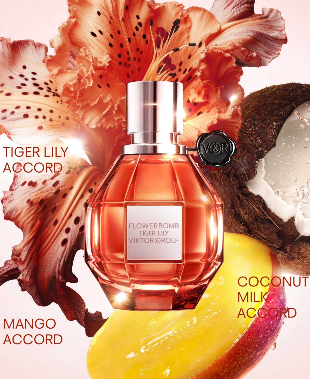 Viktor & Rolf 2-pc. Flowerbomb Tiger Lily Eau De Parfum Gift Set In No Color