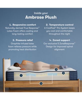 iComfortPro Ambrose 13" Latex Foam Plush Mattress Set - Queen Split 