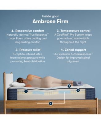 iComfortPro Ambrose 13" Latex Foam Firm Mattress Set - Twin XL