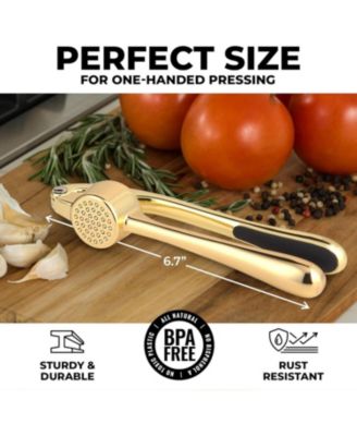 Premium Garlic Press Durable Easy Squeeze Garlic Mincer Tool
