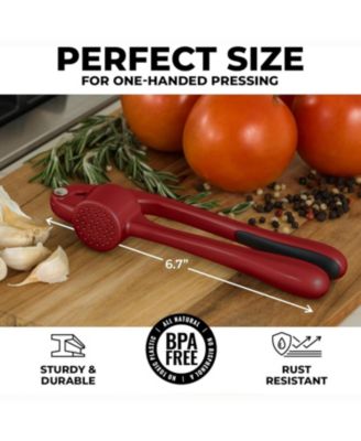 Stainless Steel Garlic Press – Durable, Easy-Squeeze Handle, Garlic Masher