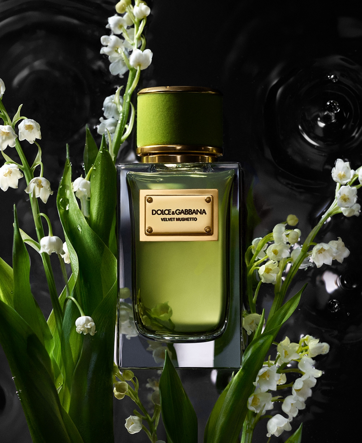 DOLCE & GABBANA VELVET MUGHETTO EAU DE PARFUM, 3.3 OZ. 