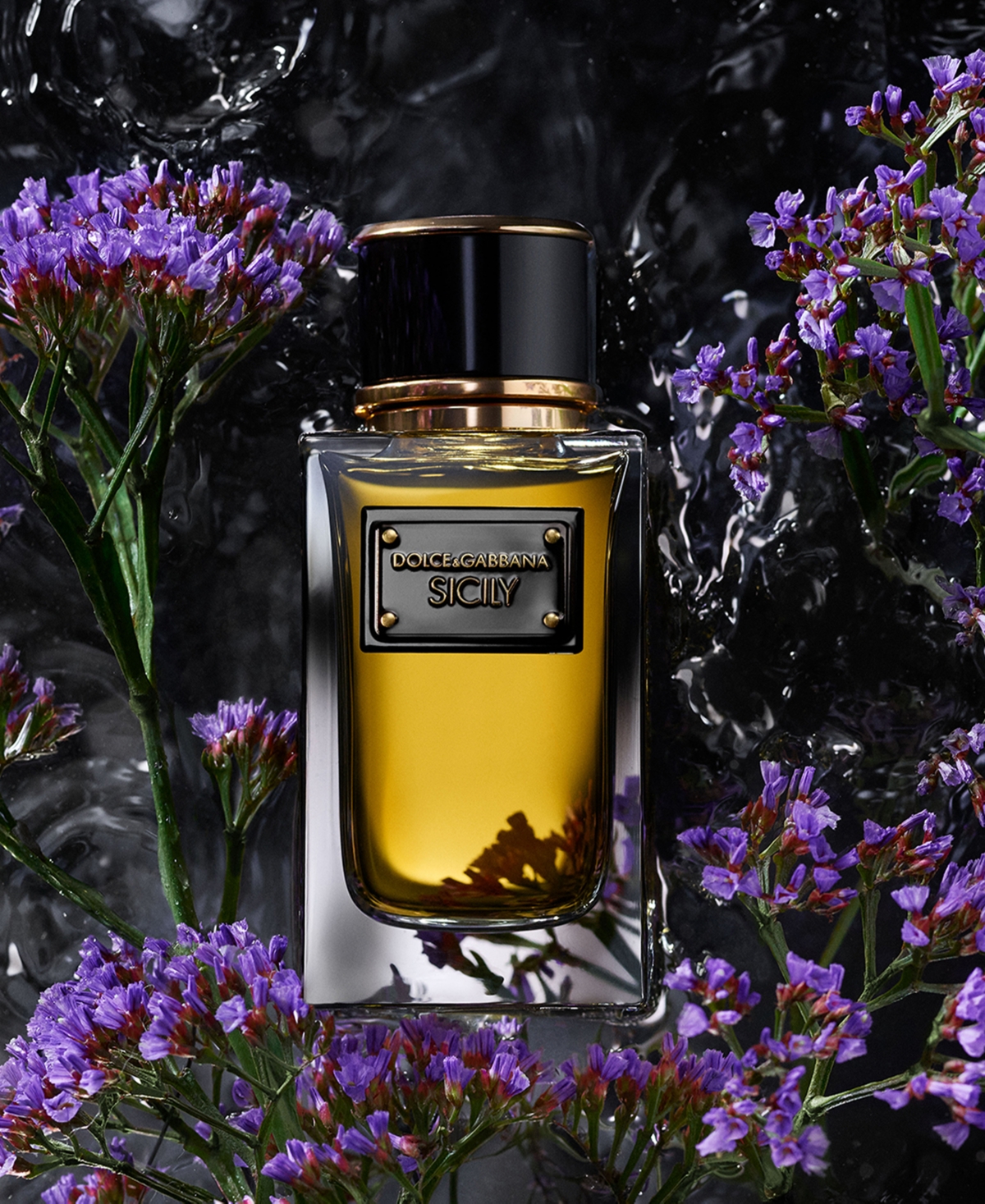 Dolce & Gabbana Sicily Eau De Parfum, 3.3 Oz. In No Color