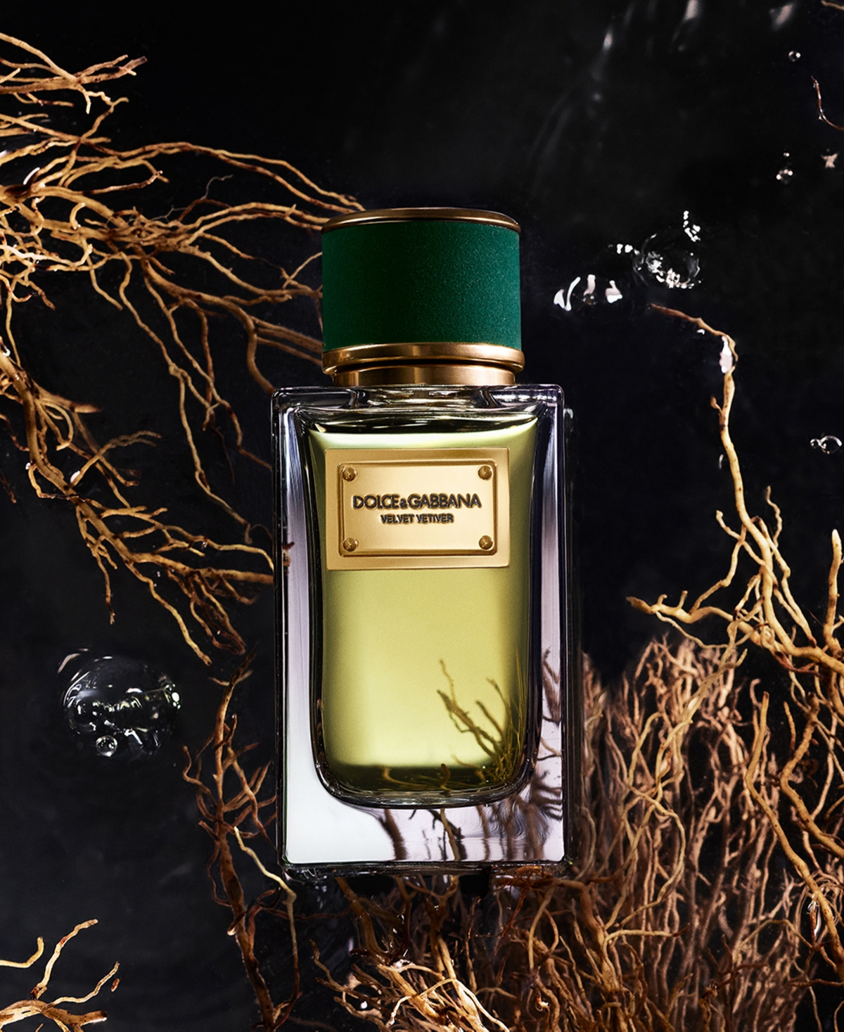 Dolce & Gabbana Velvet Vetiver Eau De Parfum 100ml In No Color