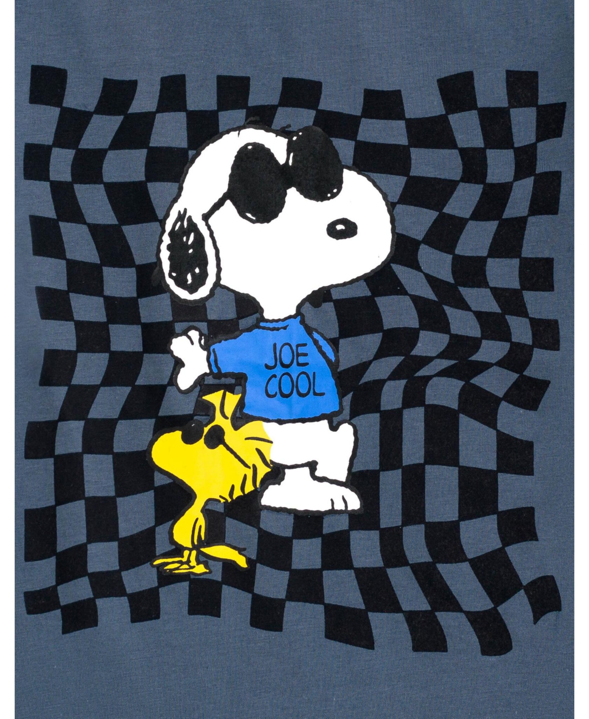 Peanuts Boys 2 Pack Long Sleeve T-Shirts to (2T - 18-20)