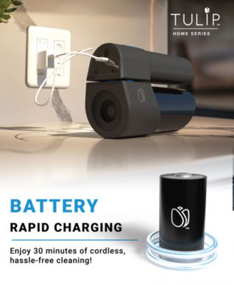 Tulip Innovations Snapdragon Cordless Rechargeable Handheld