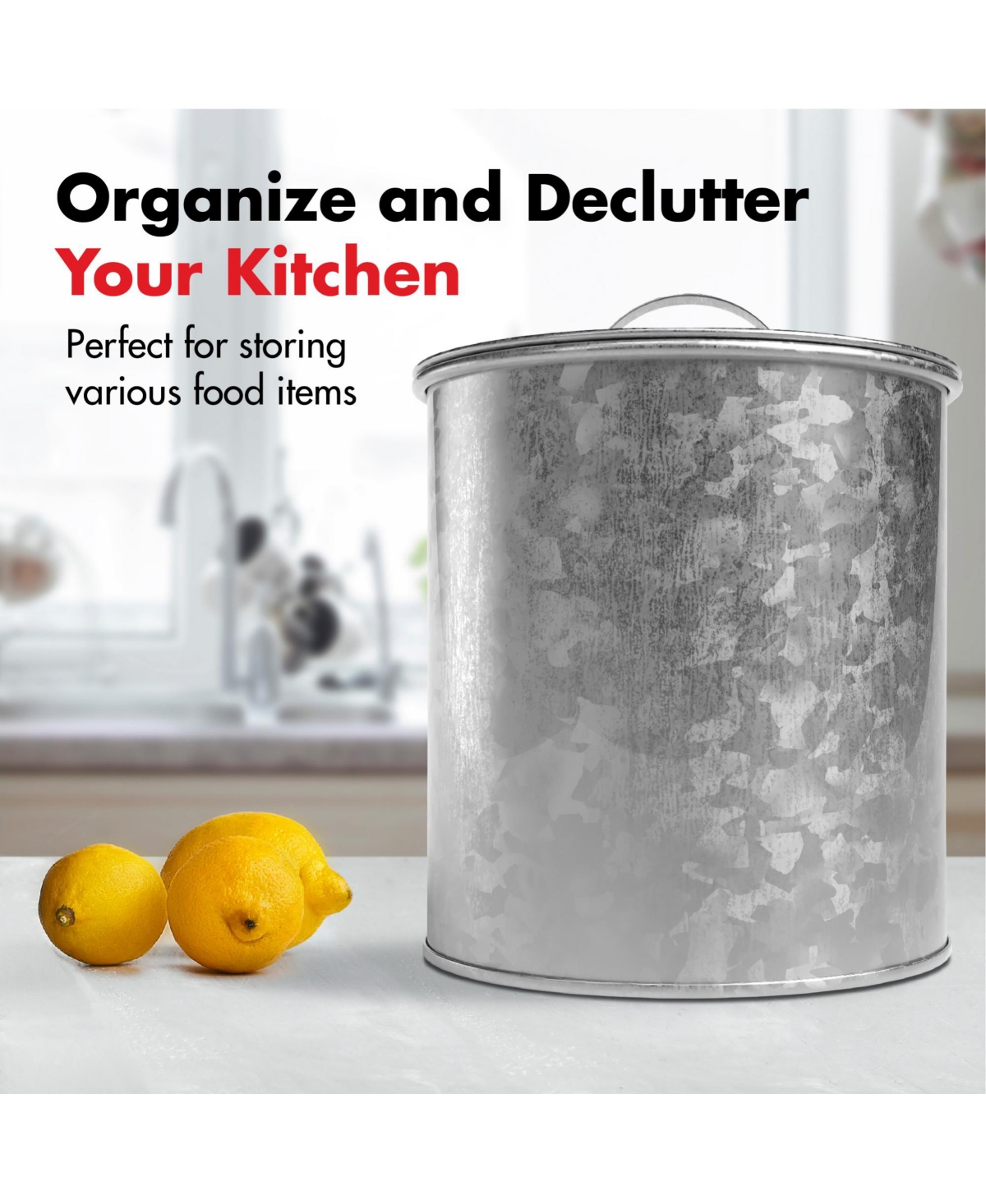 Amici Home Newport Galvanized Metal Canister - X-Large