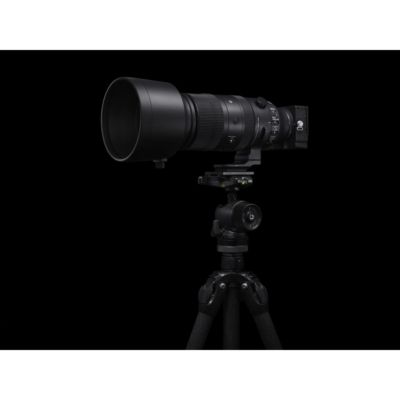 60-600mm f/4.5-6.3 DG DN OS Sports Lens for Sony E