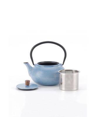 Enamelled Cast Iron Teapot