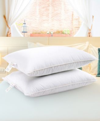 Soft and Plush Bed Pillow Insert, 2-Pack, Standard