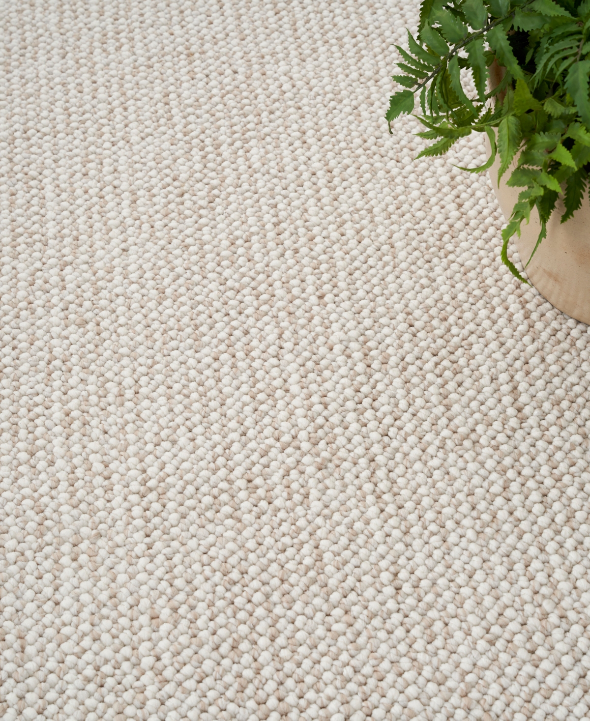 Nourison Home Natural Texture Ntx01 3'11"x5'11" Area Rug In Ivory