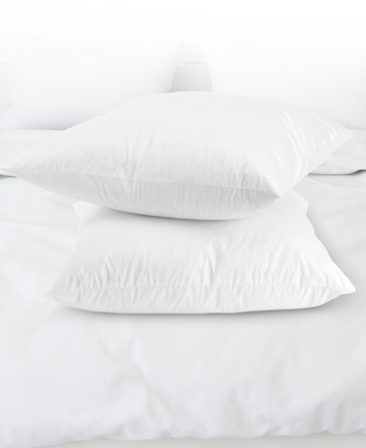 Cheer Collection 95% Feather/5% Down 2-pack Pillow Inserts, 16" X 16" In White