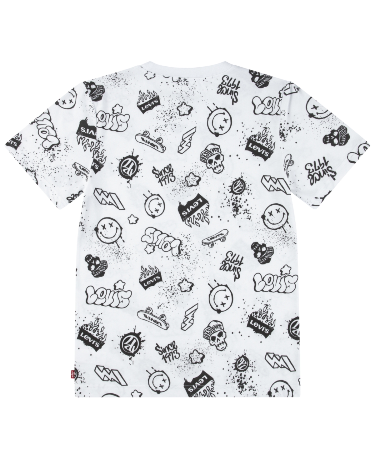 Levi's Big Boys Skater Life Tee