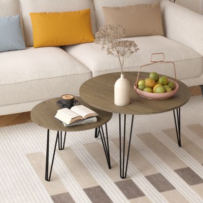 Streamdale 27.56" Round Nesting Coffee Table Set