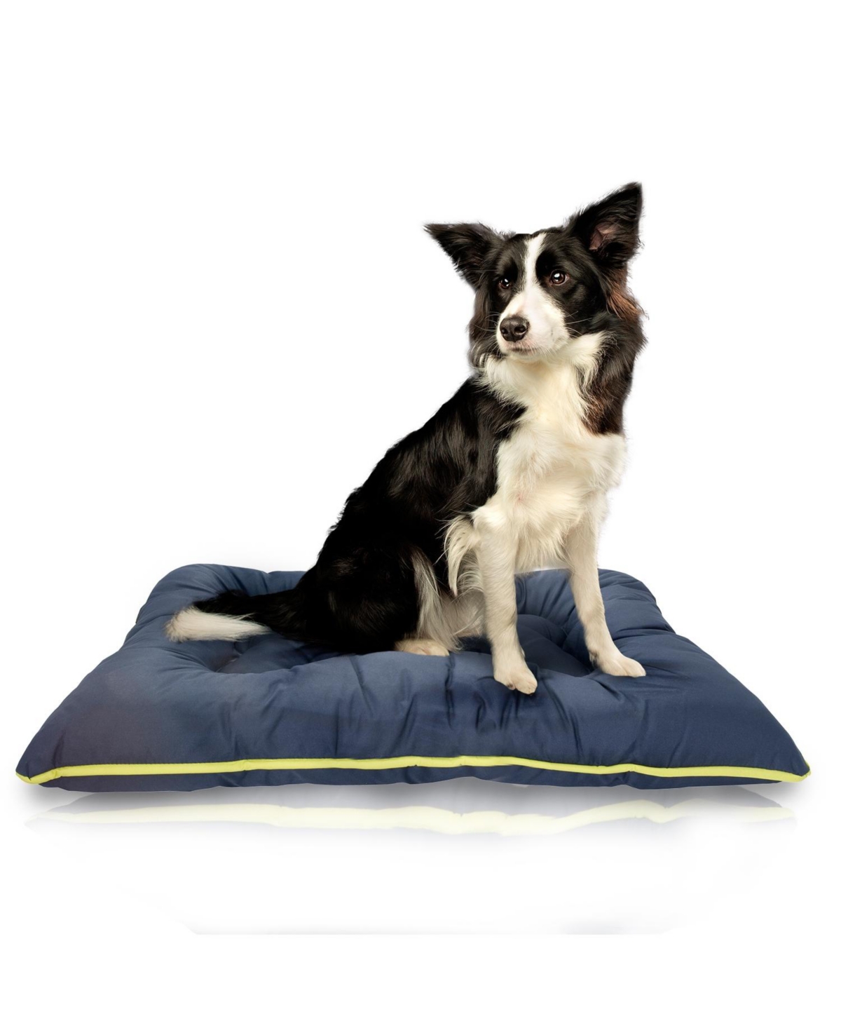 Waterproof Dog Bed, Chew Proof Pet Bed, Durable Outdoor Mat for Dogs, Heavy Duty, Ideal for Travel - Navy green