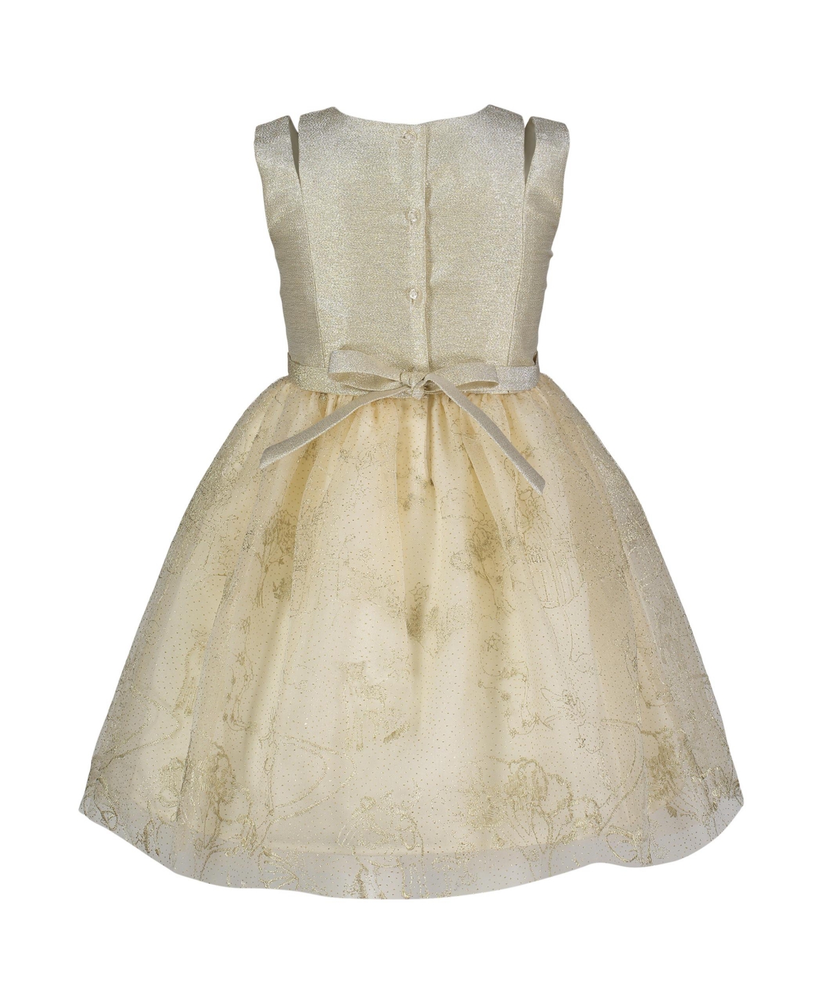 Blueberi Boulevard Toddler and Little Girls Fit-and-FlareTulle Floral Applique Dress - Gold