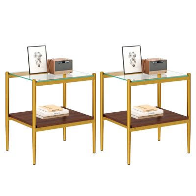 Modern Rectangle Glass End Table Set (2