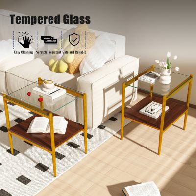 Modern Rectangle Glass End Table Set (2