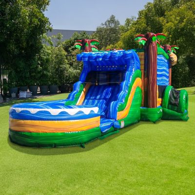 Jaguar Commercial Grade Bounce House Water Slide with Pool (with Blower), Kids and Adults, Wet Dry Combo, Basketball Hoop, Tunnel Entrance, Climb Wall, Inflatable, Summer