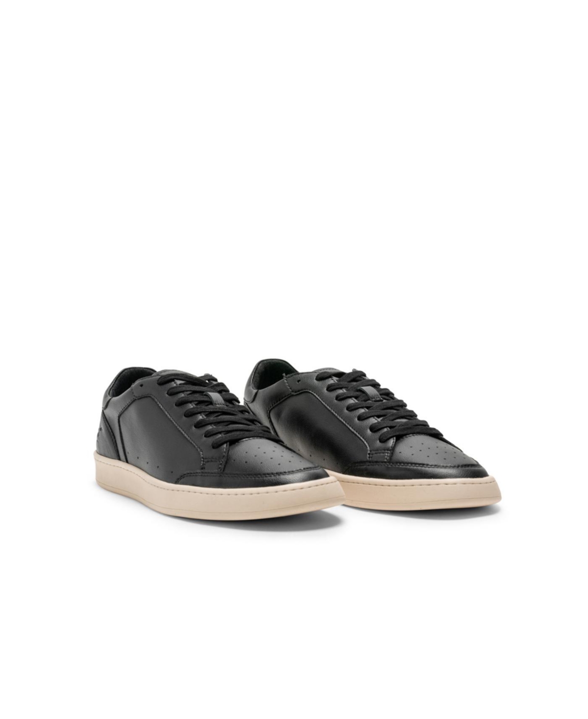 Sussex Street Sneaker