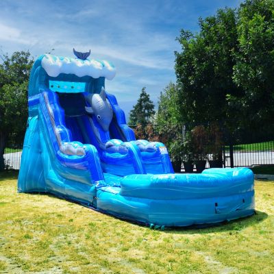 Dolphin 15 ft Inflatable Water Slide (with Blower)