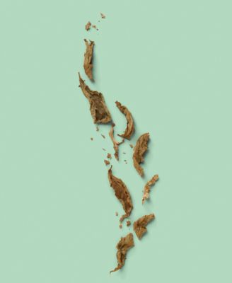 The Alchemist's Garden Ode On Melancholy Perfumed Oil, 0.67 oz.