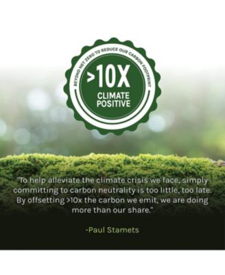 MycoBrew Coffee - Instant Coffee Drink Mix - Coffee Powder that Includes Lion's Mushroom - Drink Mix with 100% Arabica Instant Coffee - Awaken and Activate, 10 Packets (10 Servings)