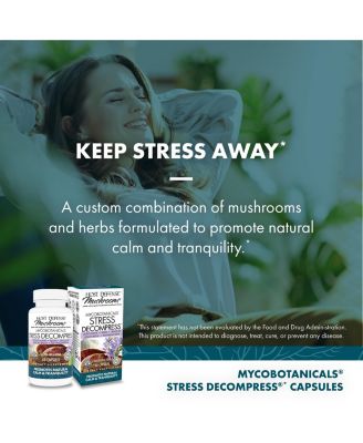 MycoBotanicals Stress Decompress Capsules - Mushroom Supplement with Lemon Balm & Ashwagandha Root - Relaxation Capsules with Reishi, Lion's Man & Skullcap - 60 Capsules (30 Servings)