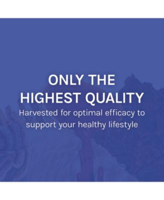 Stamets 7 Extract - 7 Species Blend - Mushroom Supplement for Immune Support with Royal Sun Blazei, Cordyceps, Reishi, Maitake, Lion's Mane, Chaga & Mesim