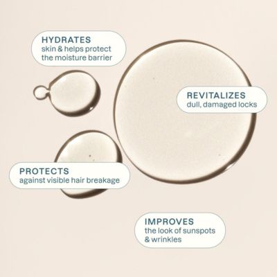 Organic Argan Oil - 8 oz