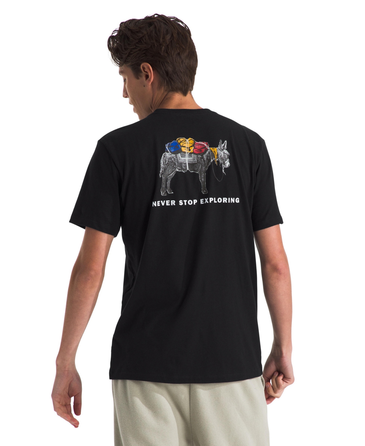 THE NORTH FACE MEN'S PONY WHEELS STANDARD-FIT GRAPHIC T-SHIRT 
