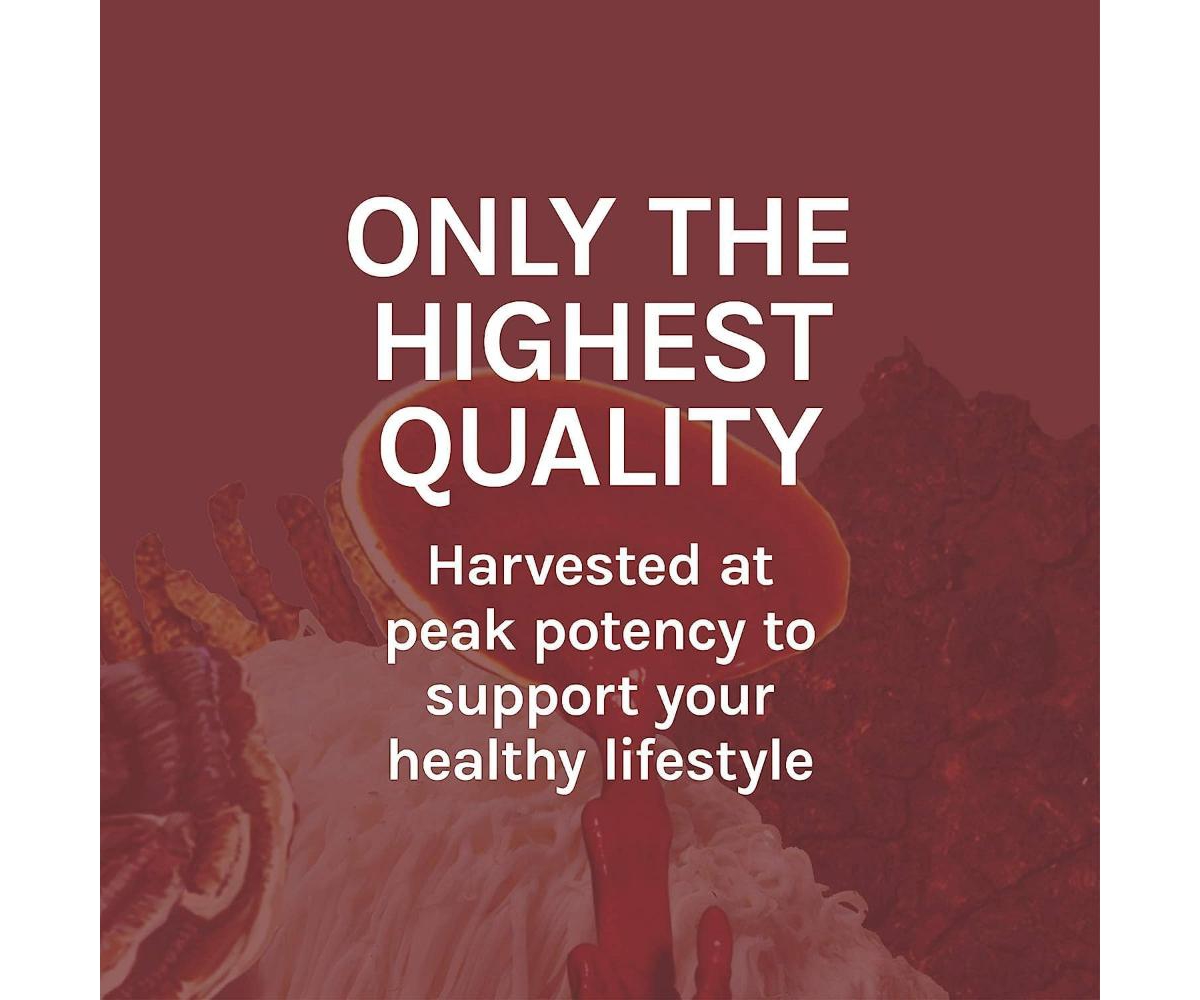 Host Defense Reishi Extract - Heart & Immune Health Support Supplement