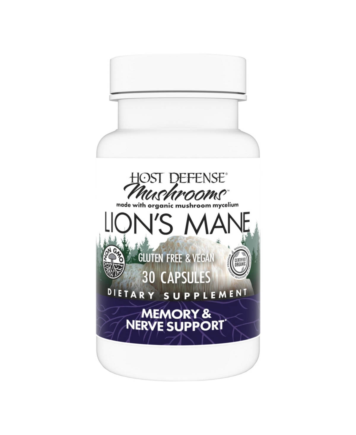 Mushrooms Lion's Mane - Brain Health Support Supplement - Mushroom Supplement to Support Focus & Memory Function - Immune & Nervous Syste