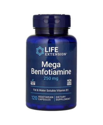 Life Extension