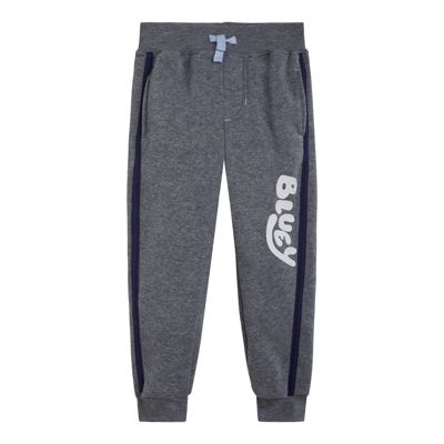 Boys Fleece 2 Pack Jogger Pants