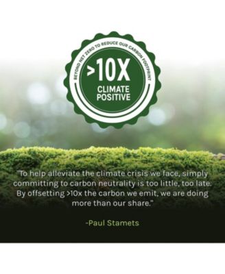 Chaga Capsules - Immune System Support Supplement - Chaga Mushroom Capsules for Antioxidant Activity Support - Dietary Mushroom Supplement