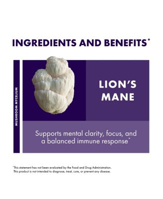 Lion's Mane Powder - Brain Health Support Supplement - Mushroom Supplement to Support Focus & Memory Function - Immune & Nervous System Support Supplement