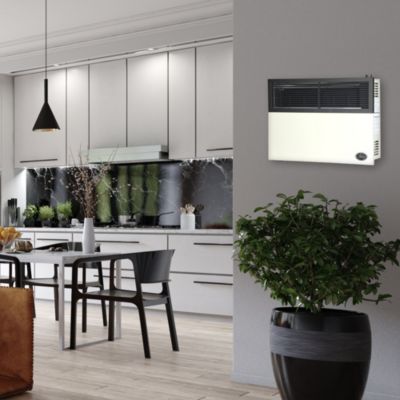 17,000 BTU Direct Vent Liquid Propane Wall Mount Heater