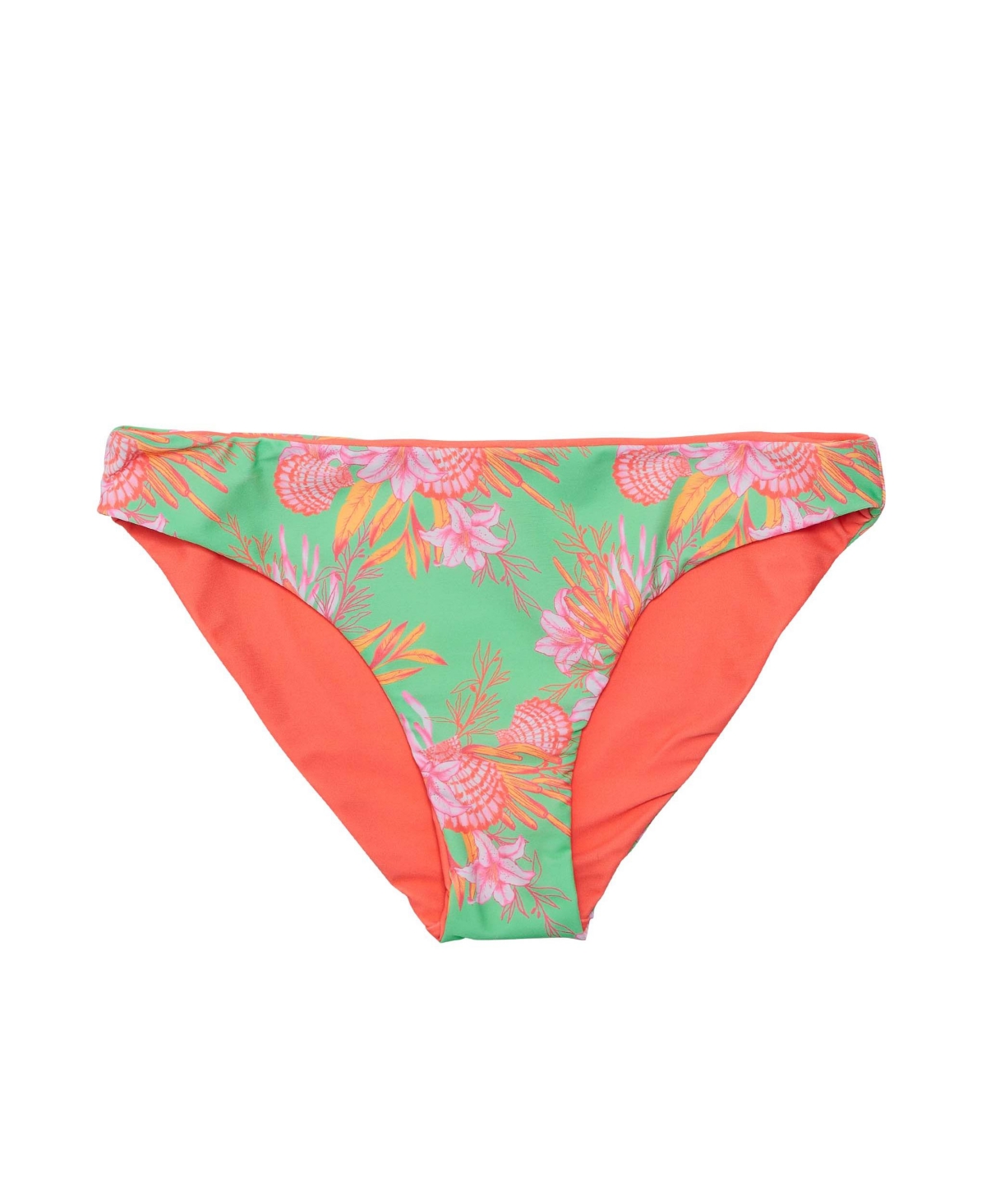Women's Coastal Shells Sustainable Bikini Bottom - Green