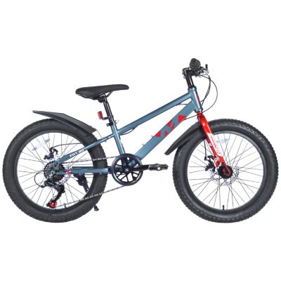 Streamdale 20" Kids' Fat Tire Mountain Bike (5+ Years)