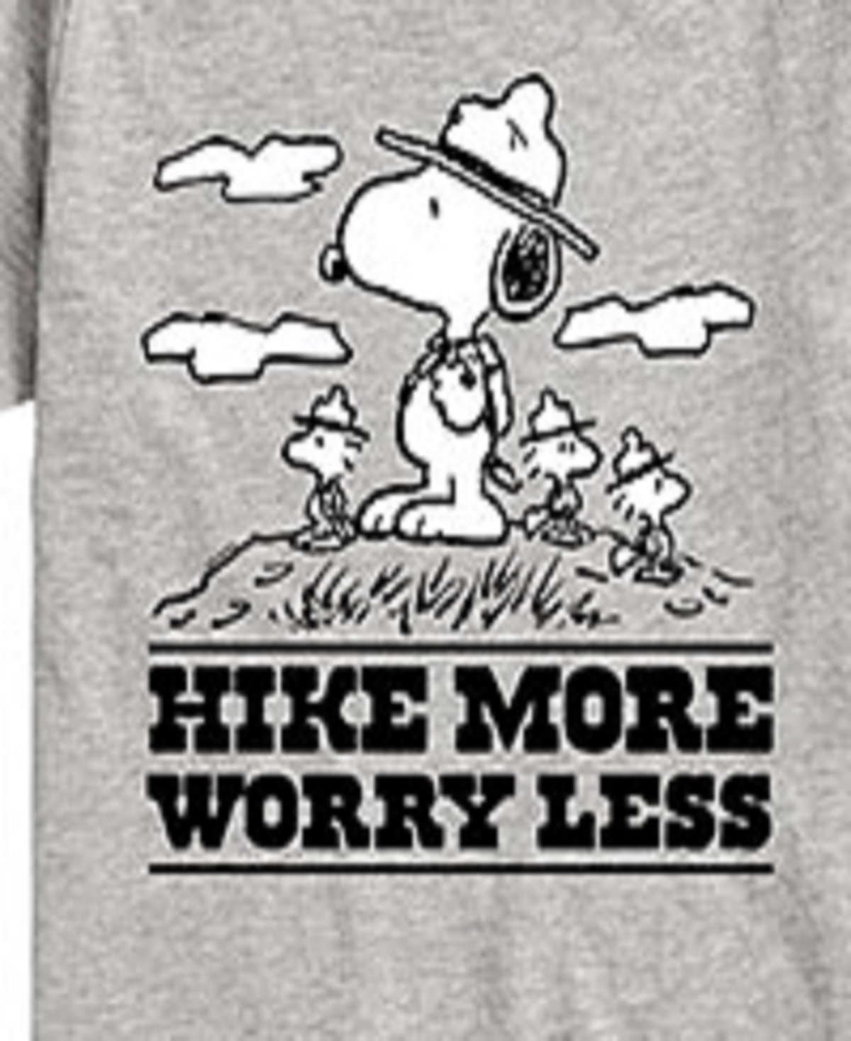 Hybrid Big Boys Peanuts Snoopy Hike More Worry Less Graphic Tee In Grey