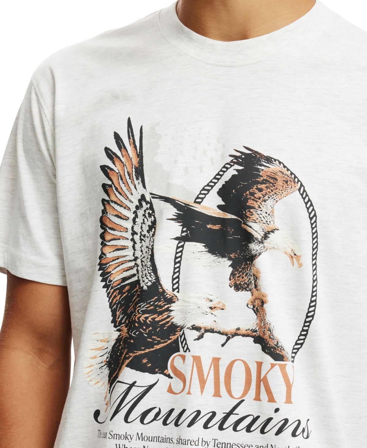 Cotton On Men's Loose Fit Art T-Shirt -Smokey Mountains