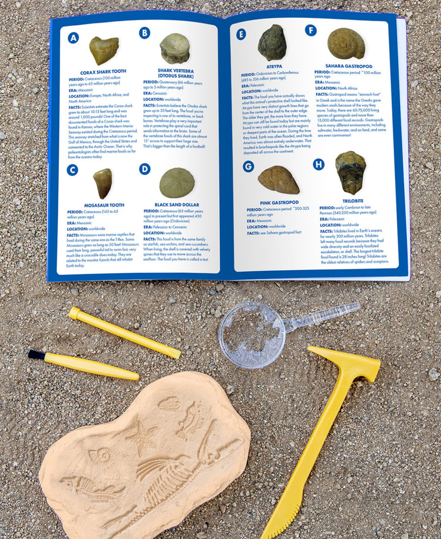 Детские игрушки Educational Insights GeoSafari Jr. Fossil Excavation Kit — фото 4