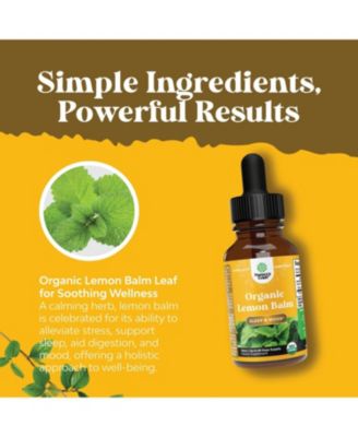Organic Lemon Balm Liquid, Mood Support and Digestive Health, 30mL