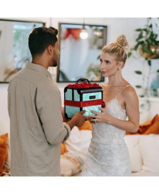 Makeup Train Case Cosmetic Organizer w/ Mirror Tray Artist CB Dusk