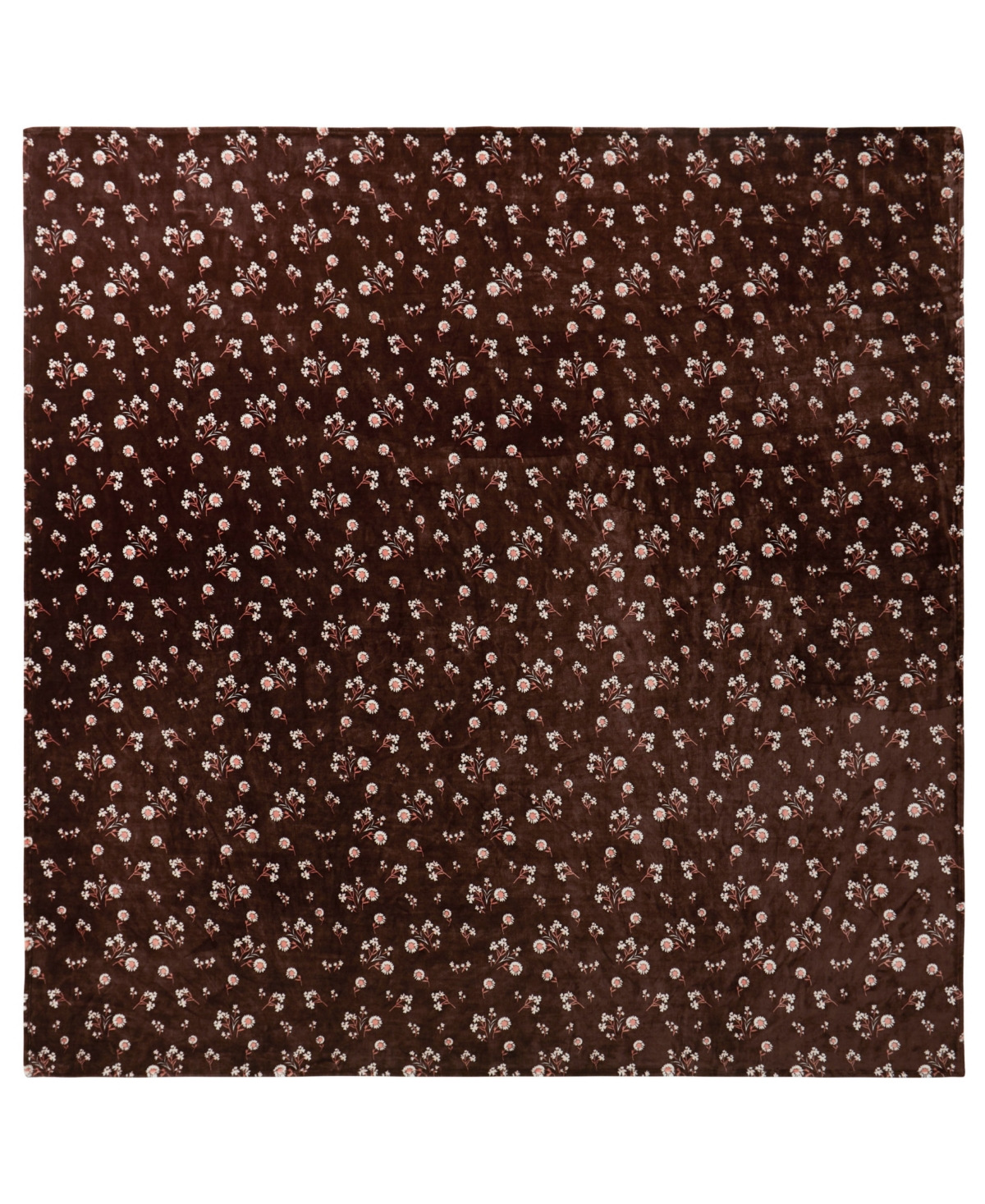 Lucky Brand Daisy Floral Cozy Plush Blanket, Twin/twin Xl In Brown