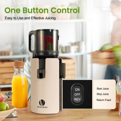 8.5 inch Large Salad Bowls, Wide Shallow Bowls Plates, Porcelain Pasta Serving Bowls, Soup Bowls Set of 6, For Family and Individual Daily Use