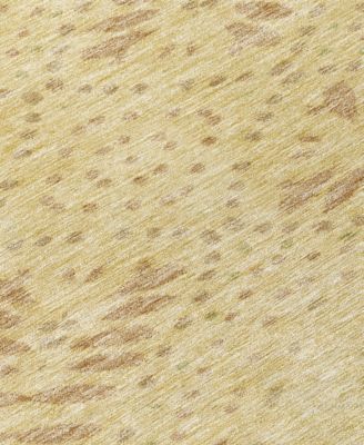 Chantille Machine Washable ACN778 3'x5' Area Rug