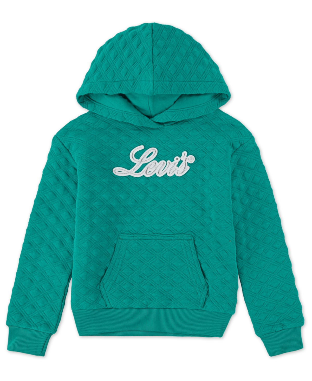 LEVI'S LITTLE GIRLS MEET AND GREET HOODIE SWEATSHIRT 