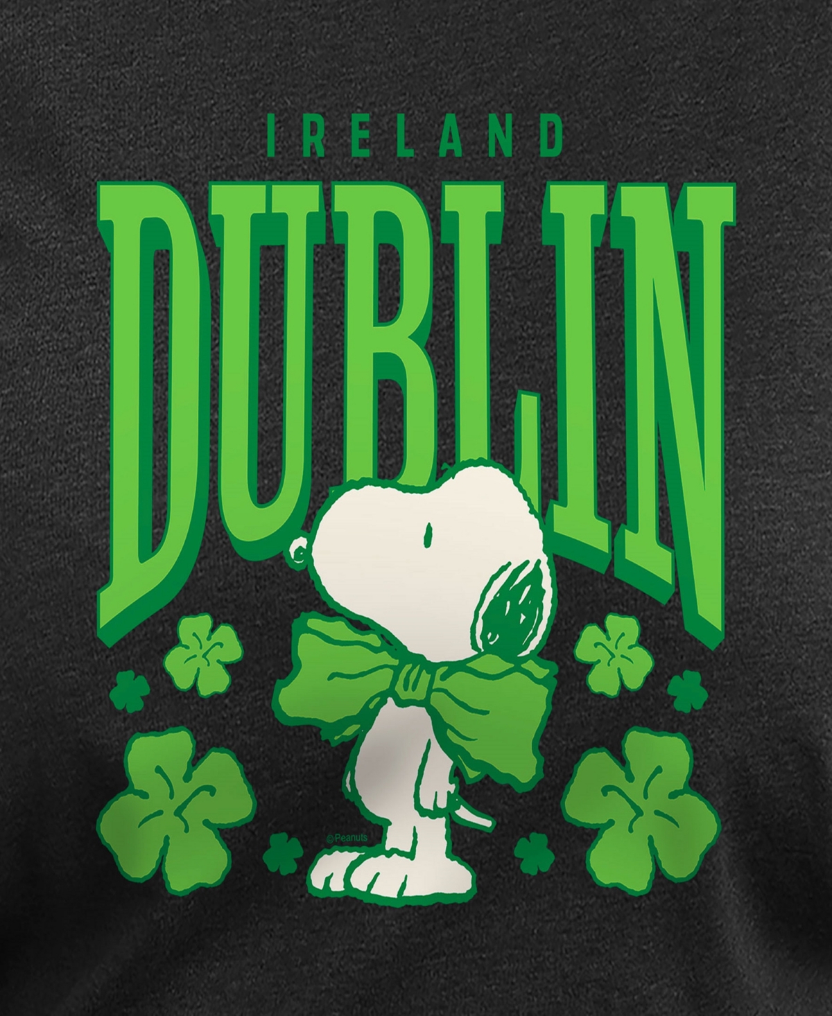 Hybrid Apparel Plus Size Peanuts Dublin St Patrick's Day Graphic Crew Neck Top In Black